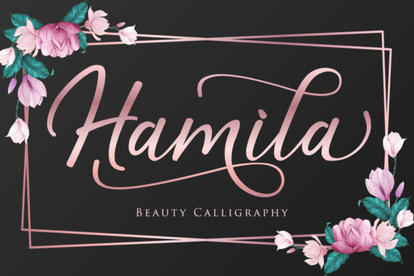Hamila: The Elegant Script Font for Modern Design