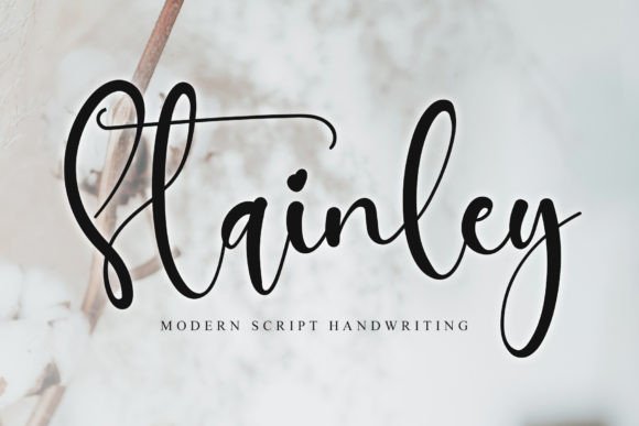 Stainley: The Stylish Script Font for Modern Design